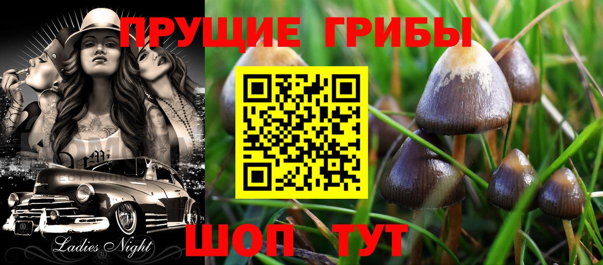 Слободской  Псилоцибиновые грибы Psilocybe  Вход с VPN 