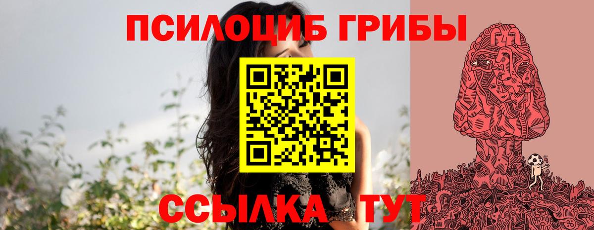 Псилоцибиновые грибы GOLDEN TEACHER Слободской